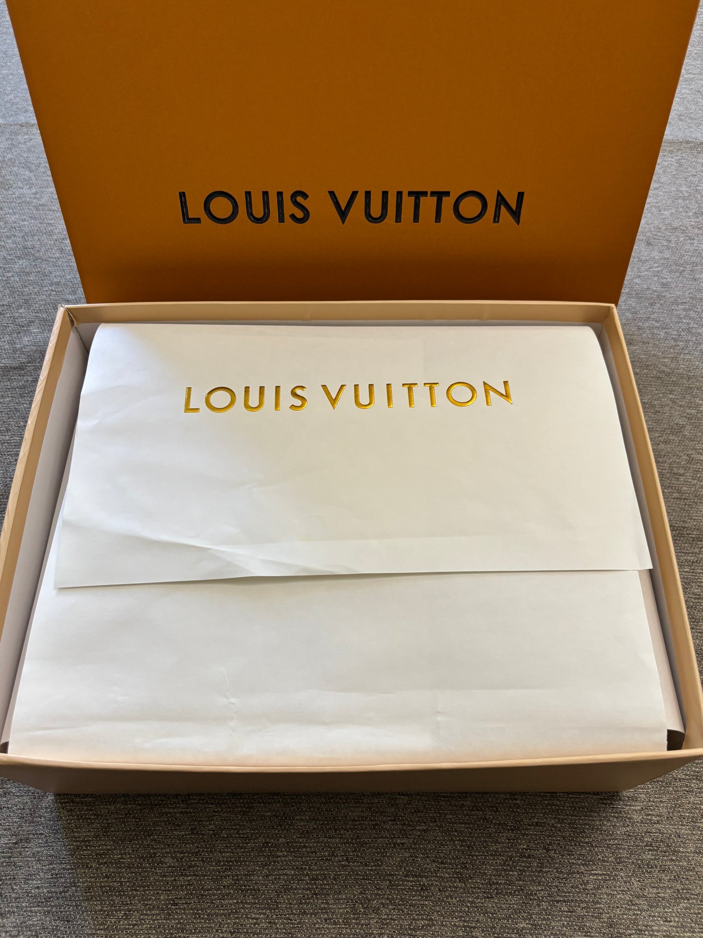 Louis Vuitton LV Skate